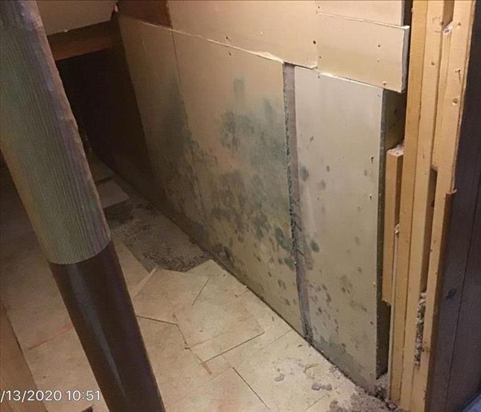Mold presents on the staircase drywall